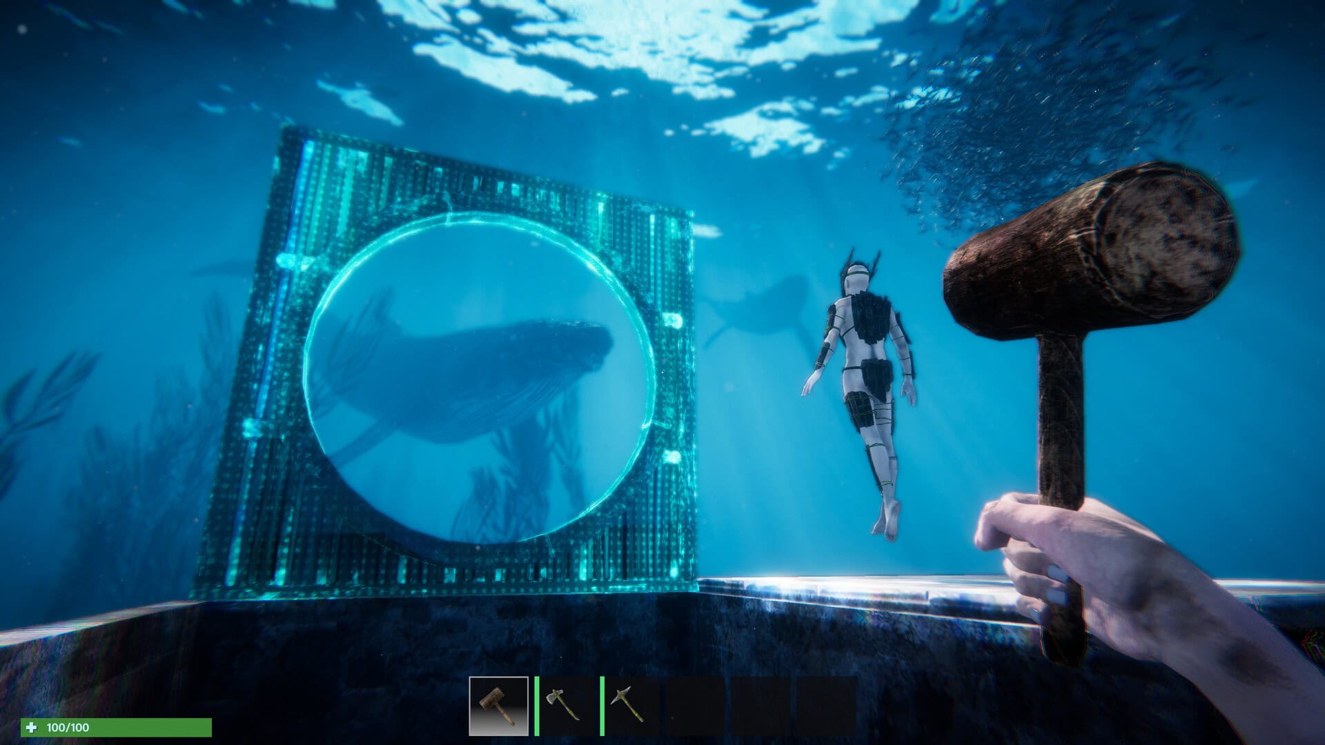 Trailer Anchor de Fearem