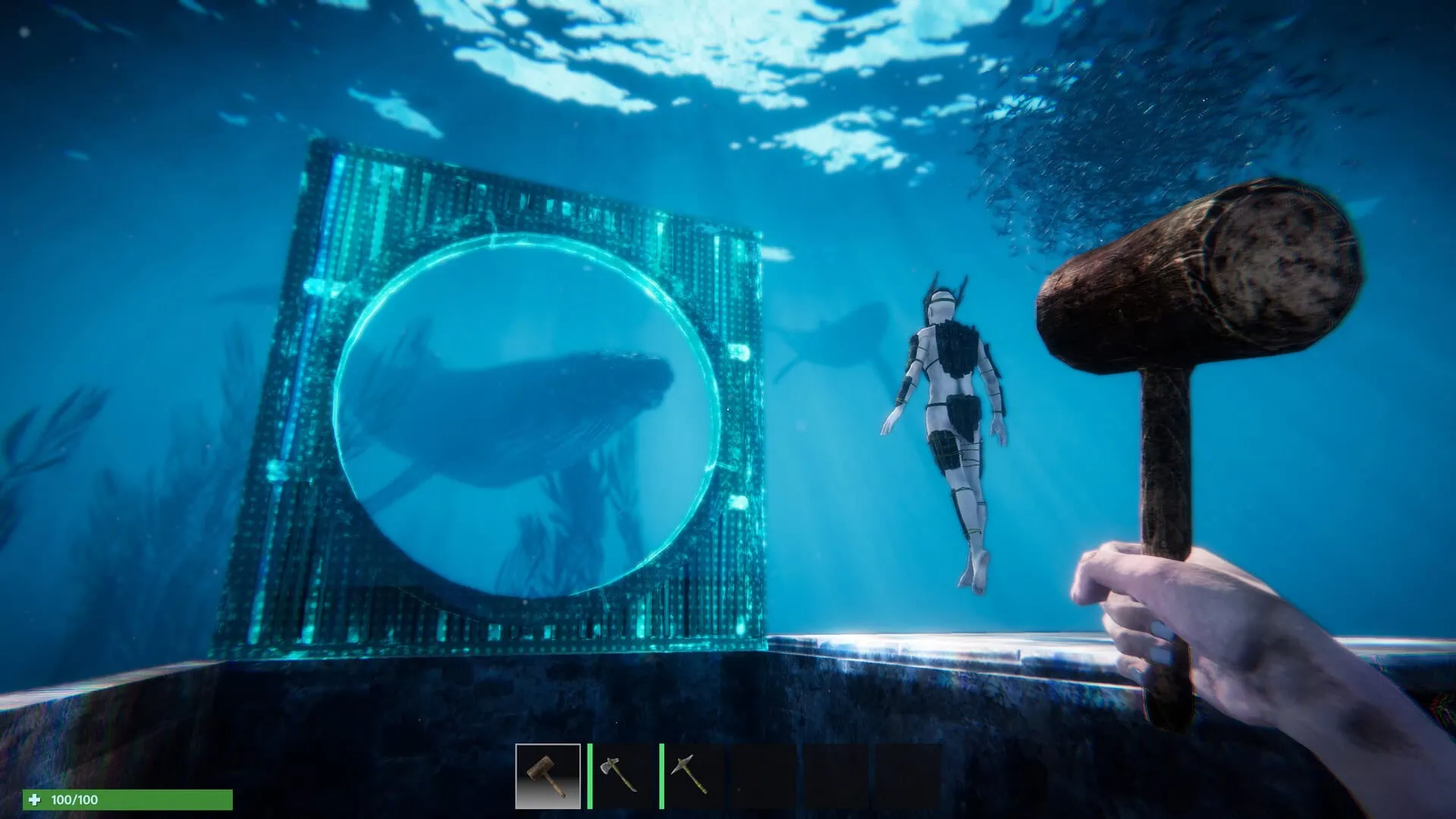 Trailer Anchor de Fearem