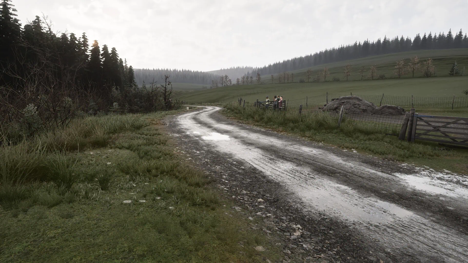 Assetto Corsa Rally : Lancement en accès anticipé sur Steam