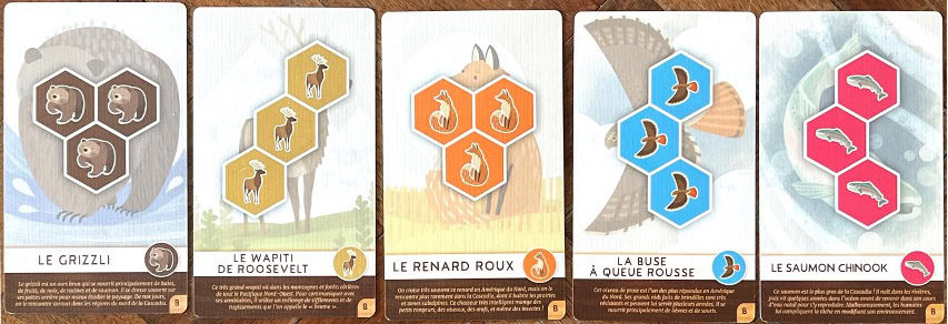 Test et avis de Cascadia Junior