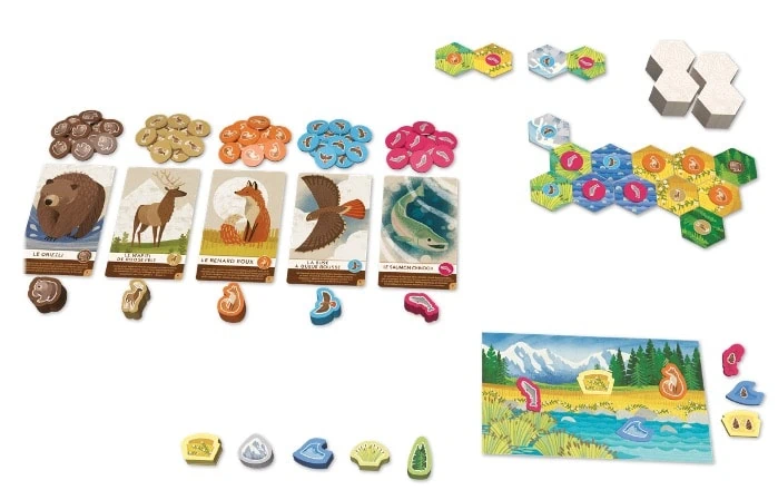 Test et avis de Cascadia Junior