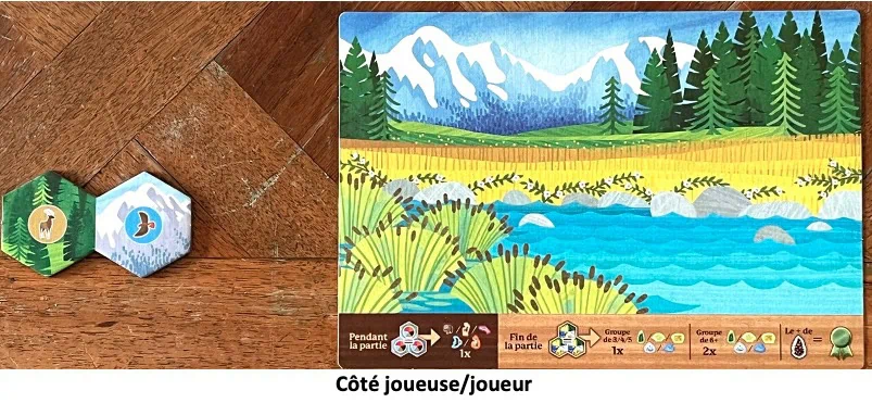 Test et avis de Cascadia Junior