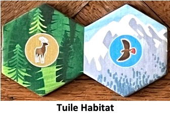 Test et avis de Cascadia Junior