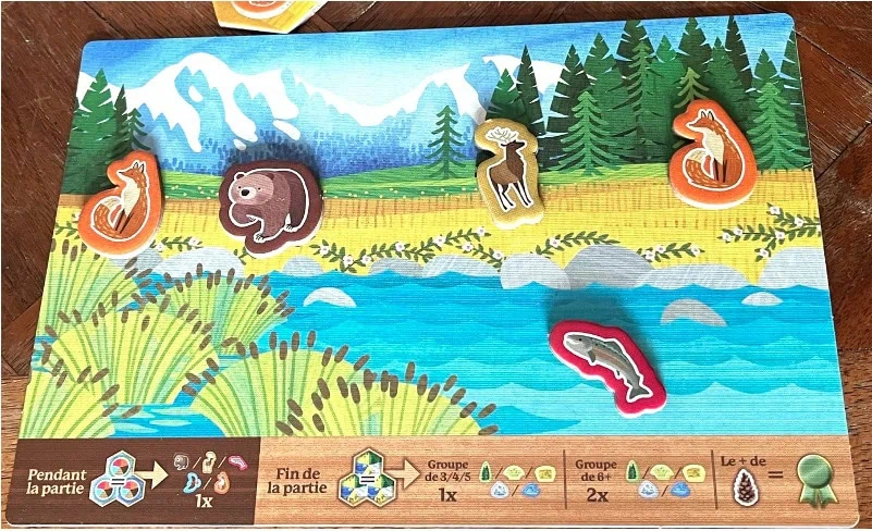 Test et avis de Cascadia Junior