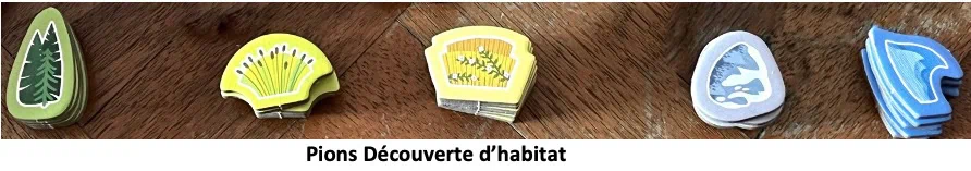 Test et avis de Cascadia Junior