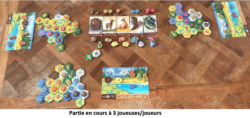 Test et avis de Cascadia Junior