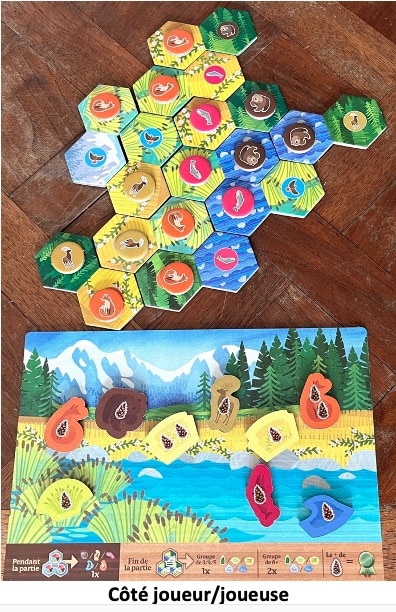 Test et avis de Cascadia Junior