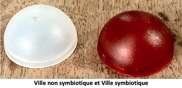 Test et avis d'Underwater Cities