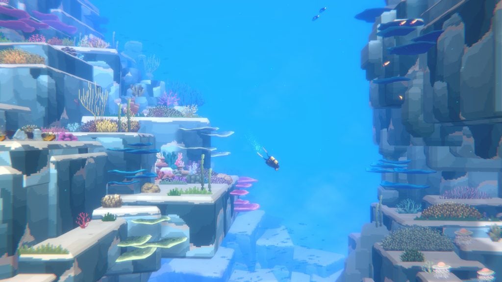 DAVE THE DIVER sur PS5 et Switch 2