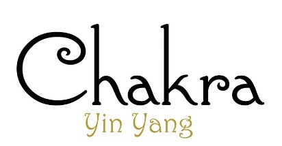 Test et avis de Yin Yang