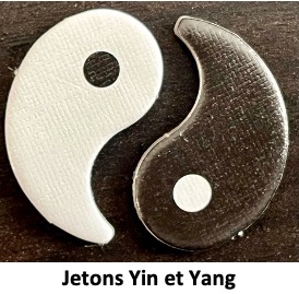 Test et avis de Yin Yang