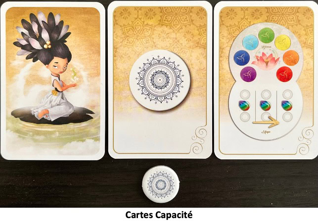 Test et avis de Yin Yang