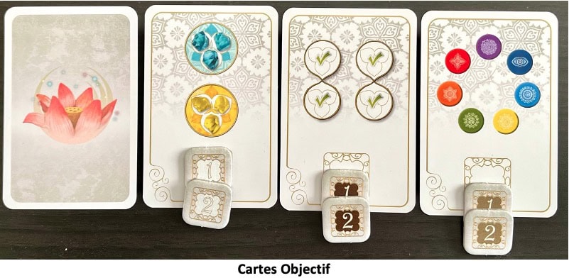 Test et avis de Yin Yang