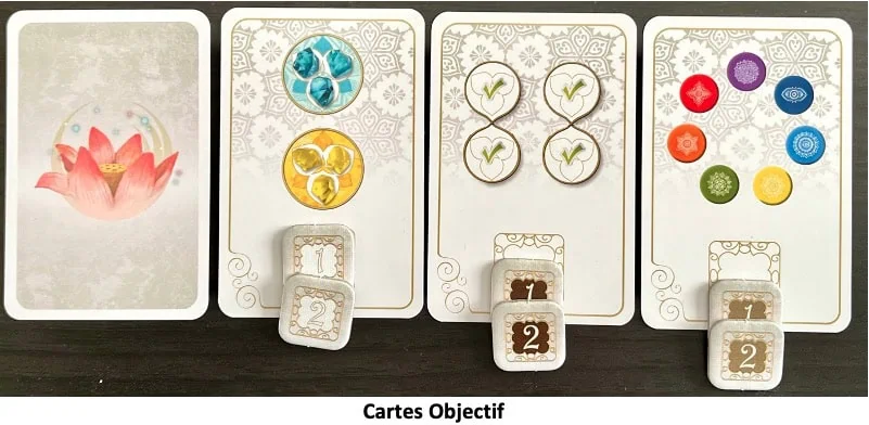 Test et avis de Yin Yang