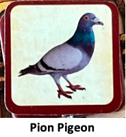 Test et avis de Fief England