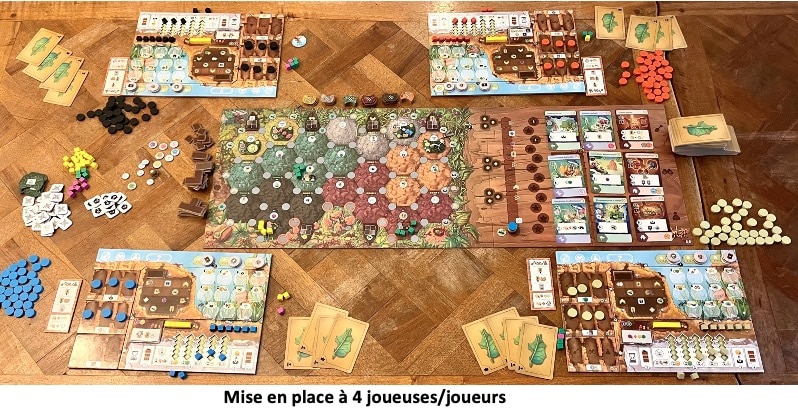 Test et avis de Fourmis