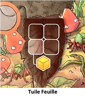 Test et avis de Fourmis