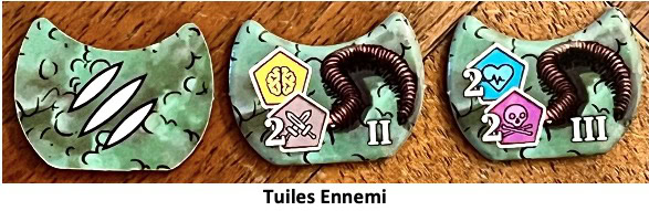 Test et avis de Fourmis