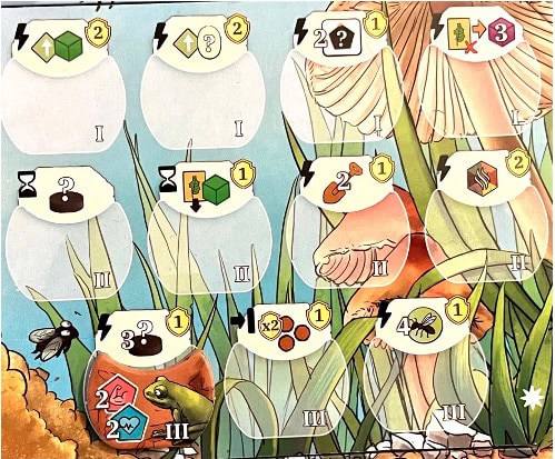 Test et avis de Fourmis