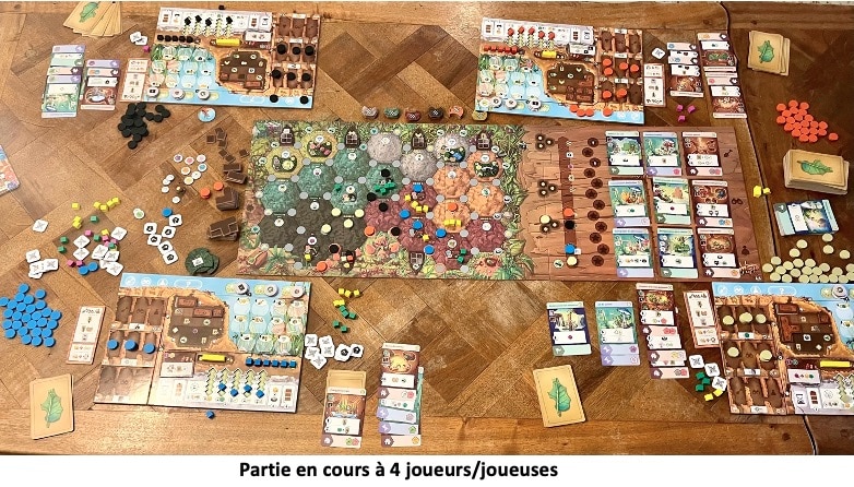 Test et avis de Fourmis