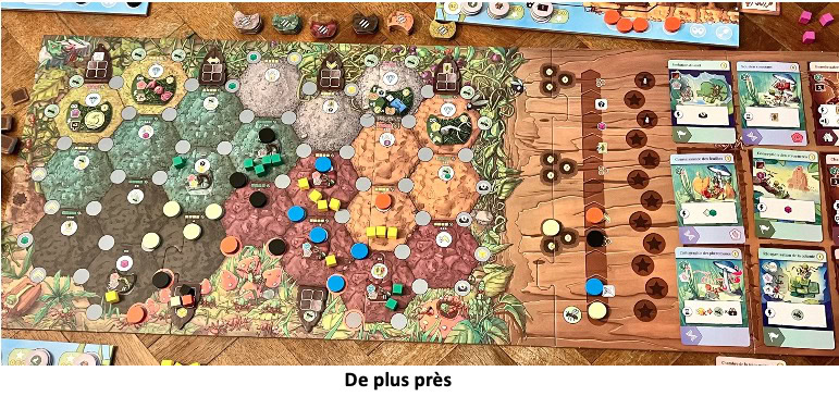 Test et avis de Fourmis