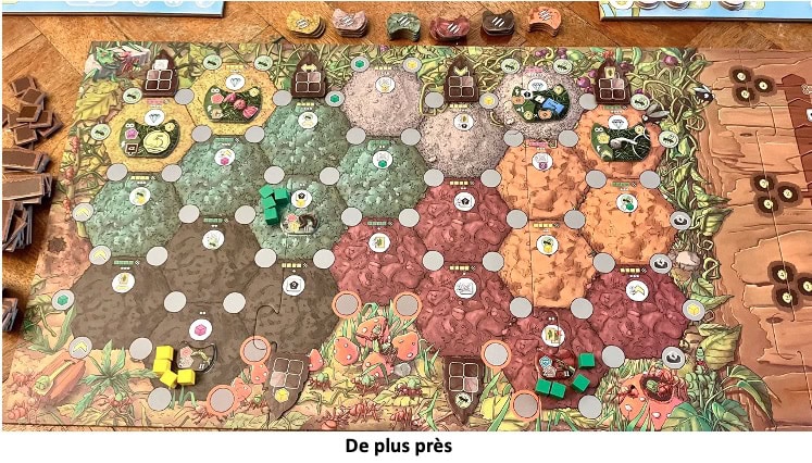 Test et avis de Fourmis