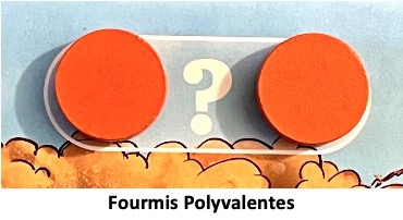 Test et avis de Fourmis