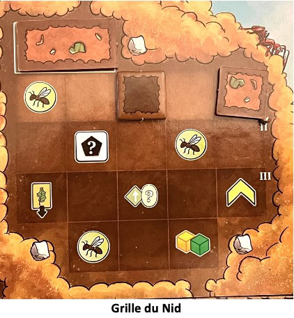 Test et avis de Fourmis