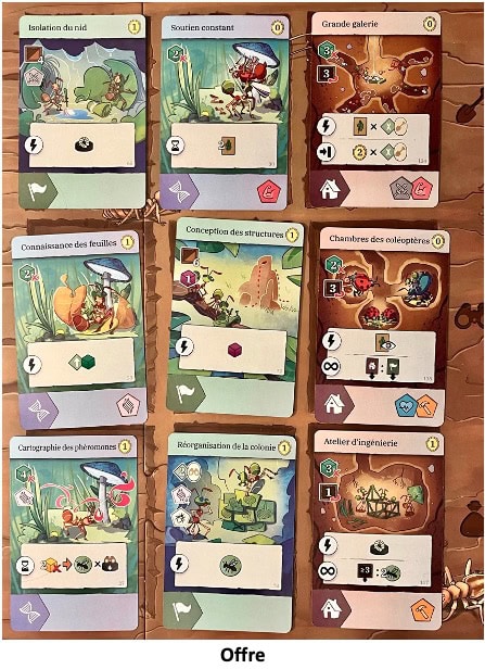 Test et avis de Fourmis