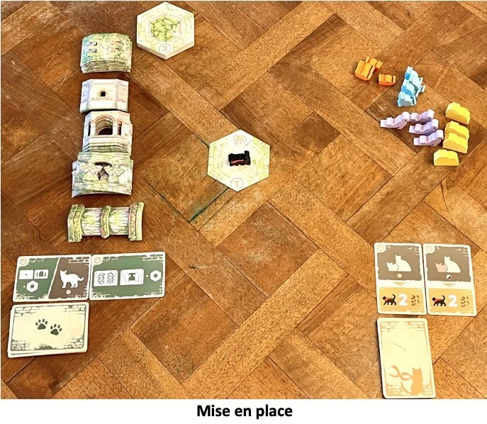 Test et avis de Le Chat et la Tour