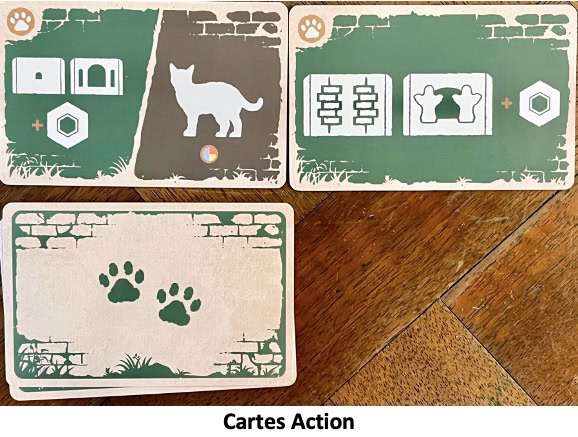 Test et avis de Le Chat et la Tour