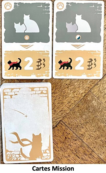 Test et avis de Le Chat et la Tour