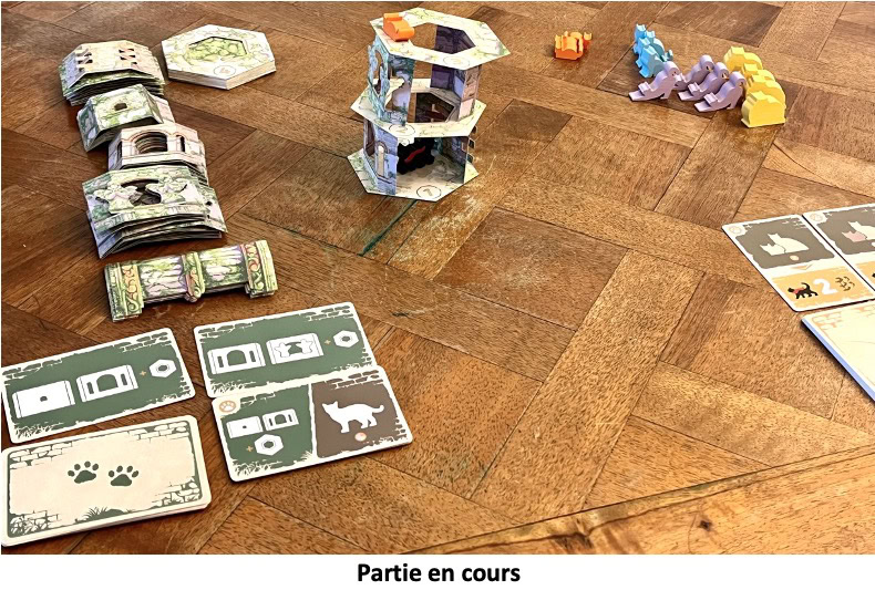 Test et avis de Le Chat et la Tour