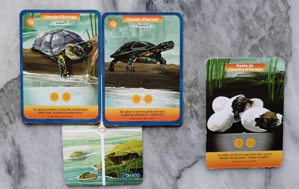 Test et avis de Zoïko chez Les Ingérables