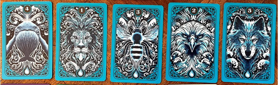 Test et avis de Combo