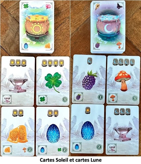 Test et avis de Carnuta