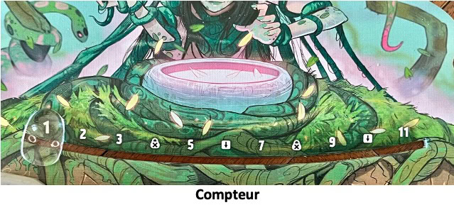 Test et avis de Carnuta