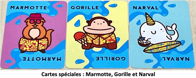 Test et avis de Taco Chat Bouc Cheese Pizza waterproof !