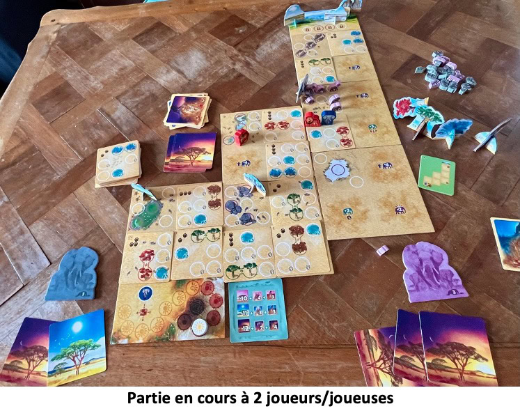 Test et avis de Tembo, survivre dans la savane