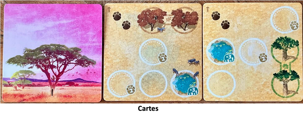 Test et avis de Tembo, survivre dans la savane