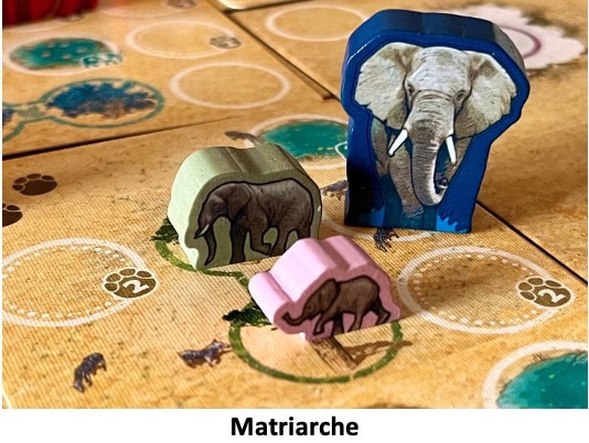 Test et avis de Tembo, survivre dans la savane