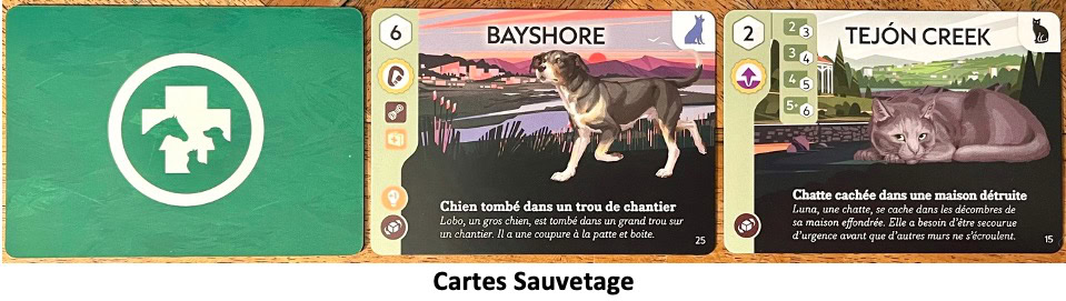 Test et avis d'Animal Rescue Team