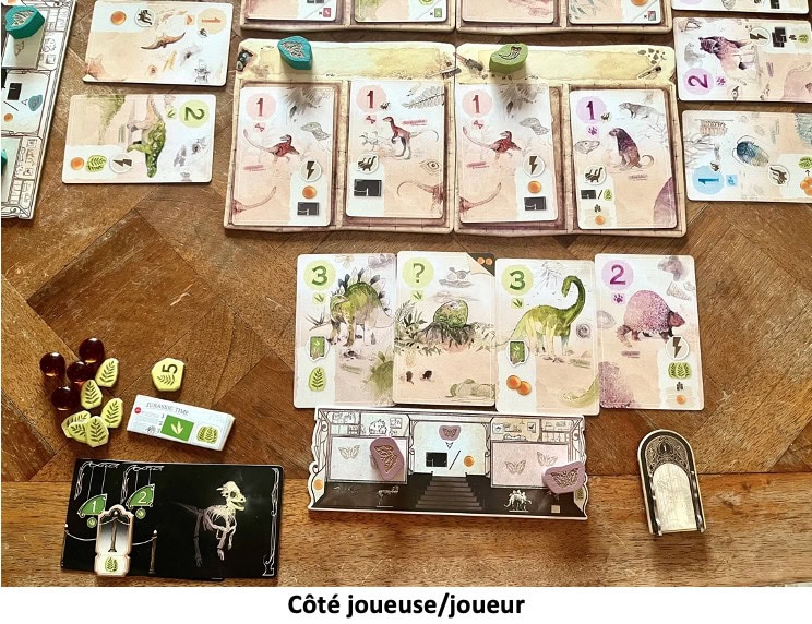Test et avis de First Giants
