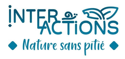 Test et avis d'Interactions de Florent Toscano