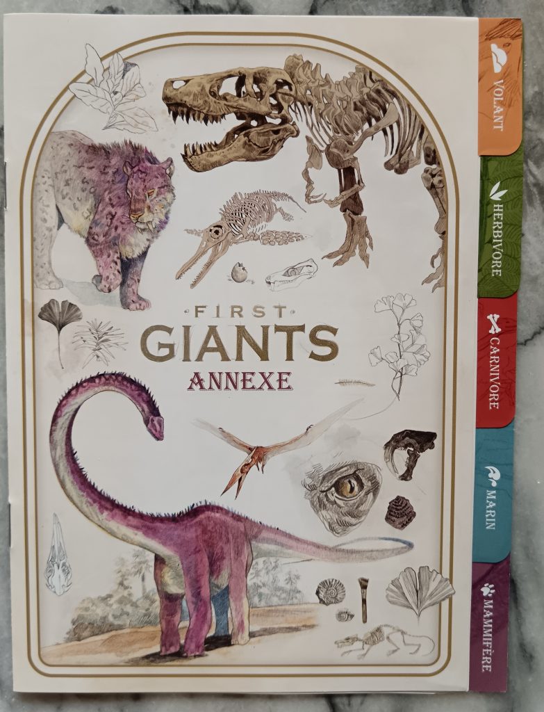 Test et avis de First Giant chez Space Cowboys