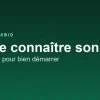 Pixbid : achetez vos pixels et affichez votre site sur une grille d’un million de cases