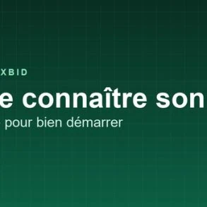 Pixbid : achetez vos pixels et affichez votre site sur une grille d’un million de cases