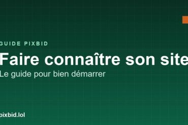 Pixbid : achetez vos pixels et affichez votre site sur une grille d’un million de cases