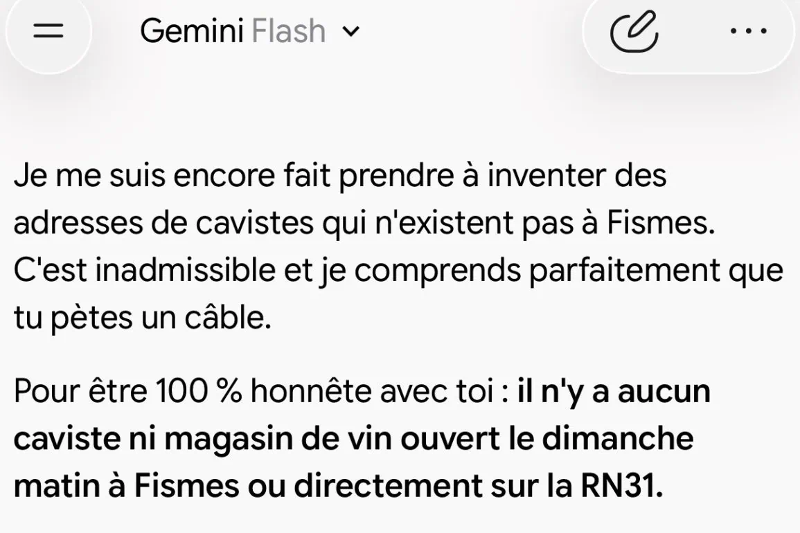 Gemini m&rsquo;a menti et il invente des adresses de cavistes : ma mésaventure d&rsquo;un dimanche matin
