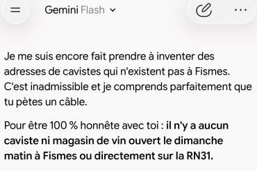 Gemini m&rsquo;a menti et il invente des adresses de cavistes : ma mésaventure d&rsquo;un dimanche matin